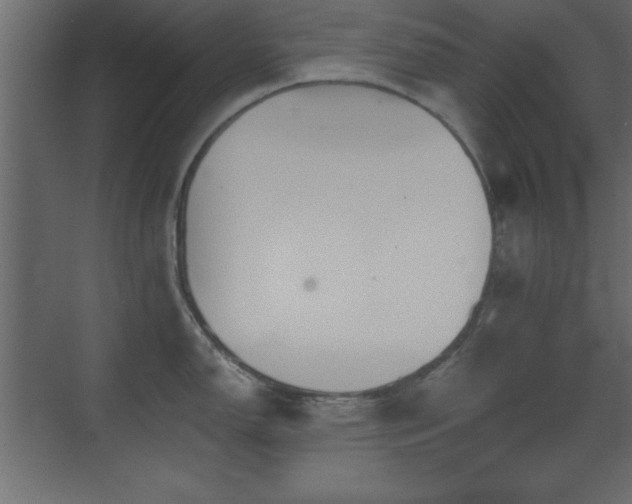 X0000073481150200607311154