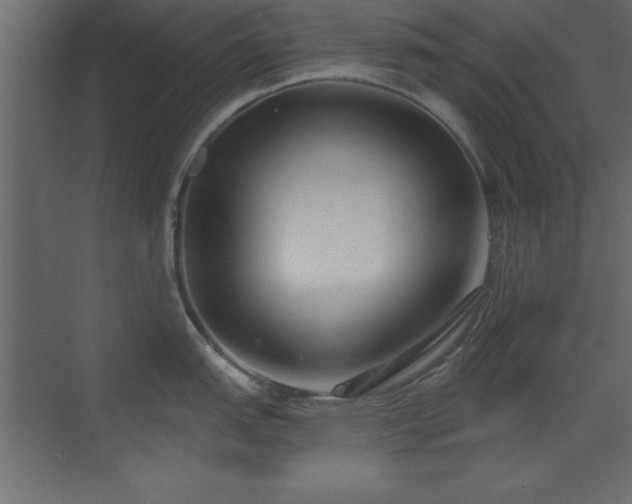 X0000073481151200607311154