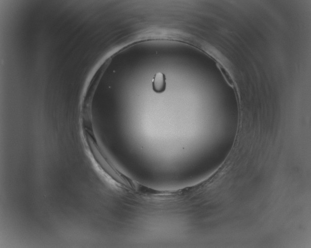 X0000073481152200607311154