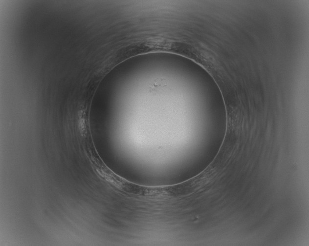 X0000073481154200607311153