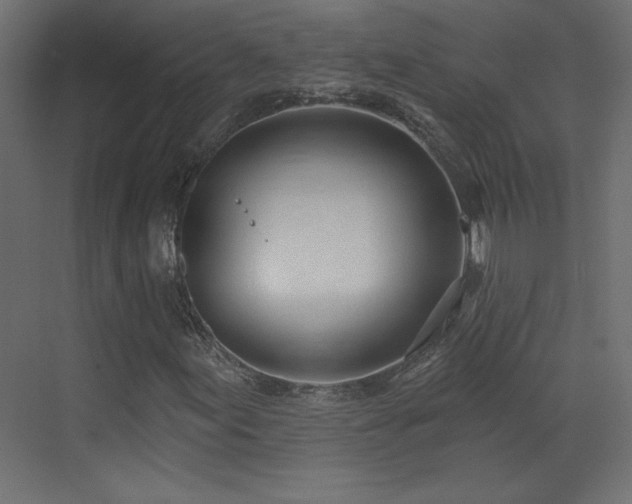 X0000073481155200607311153