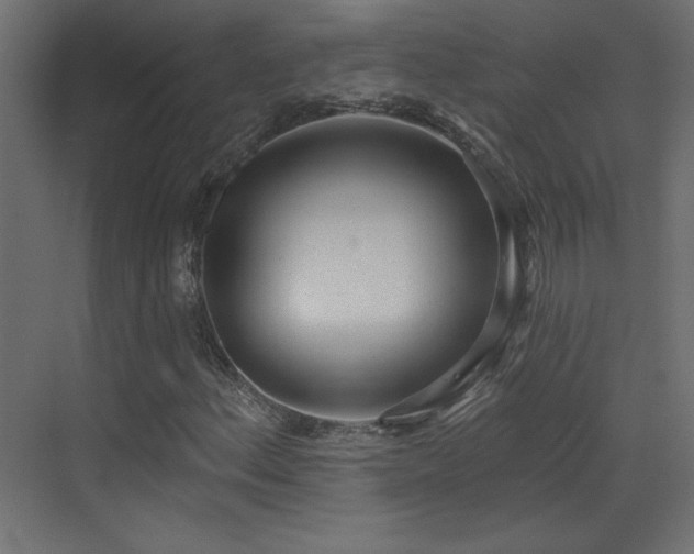 X0000073481156200607311153