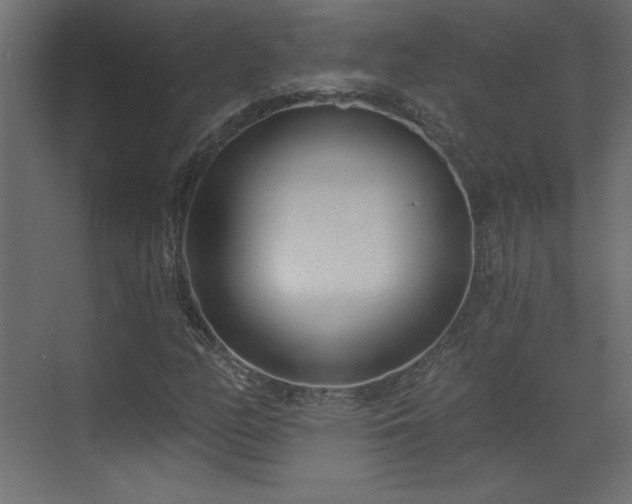 X0000073481158200607311153