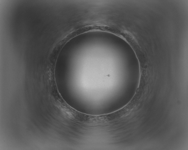 X0000073481159200607311153