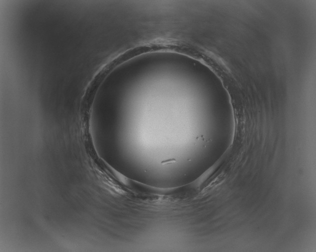 X0000073481160200607311153