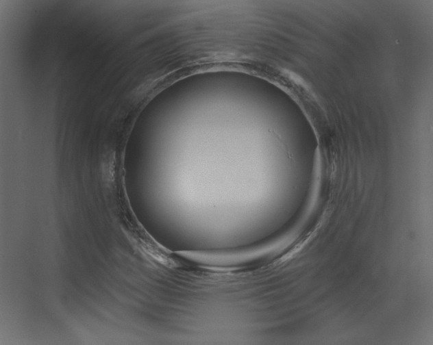 X0000073481161200607311153