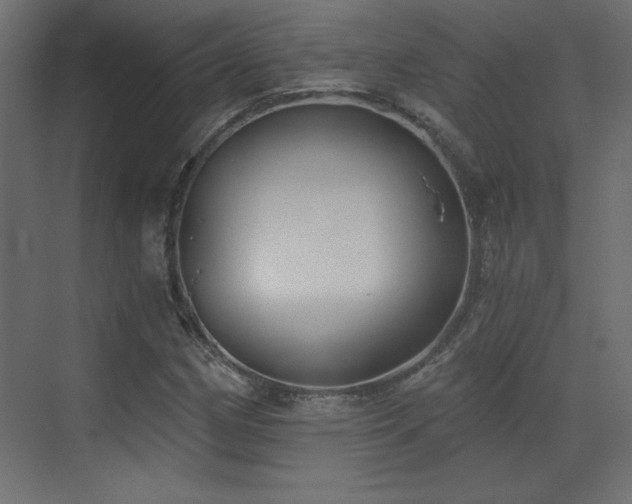 X0000073481162200607311153