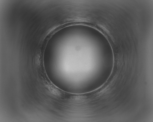 X0000073481163200607311153