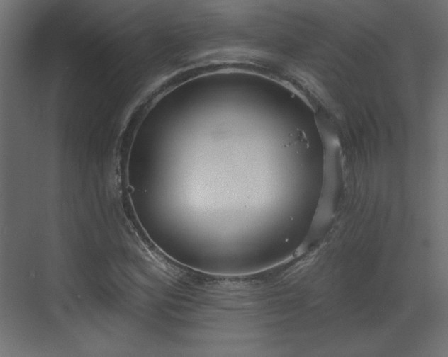 X0000073481164200607311153