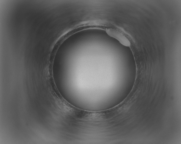 X0000073481166200607311153