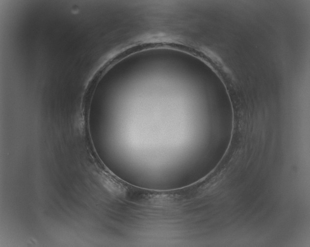 X0000073481167200607311153