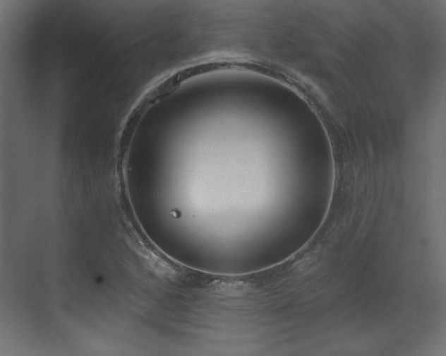 X0000073481168200607311153