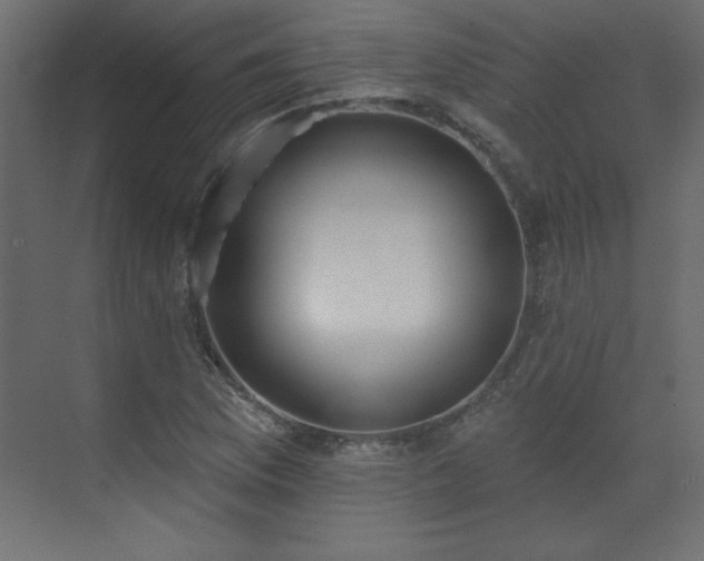 X0000073481169200607311153