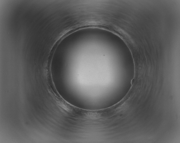 X0000073481170200607311153