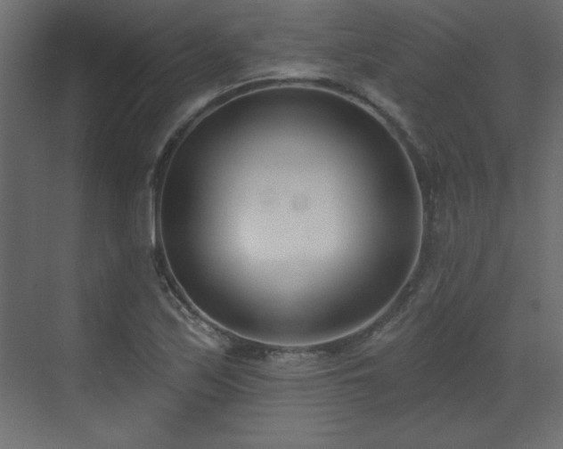 X0000073481171200607311153