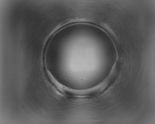 X0000073481173200607311153