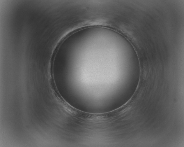 X0000073481174200607311153