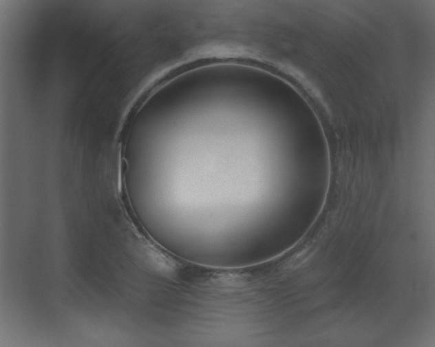 X0000073481175200607311153