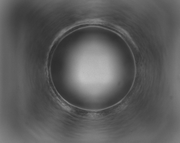 X0000073481176200607311153