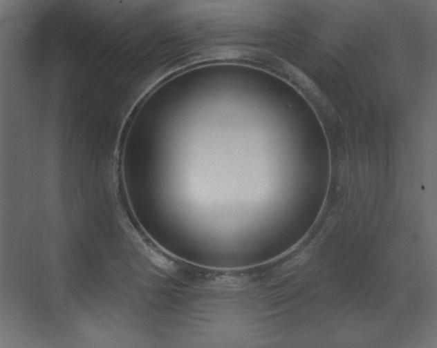 X0000073481178200607311153