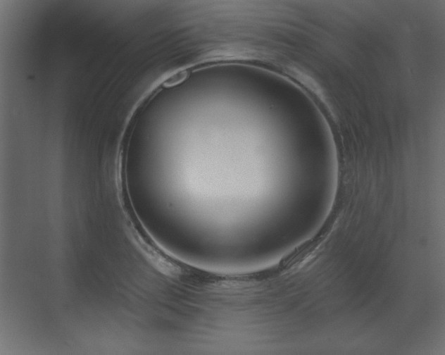 X0000073481179200607311153