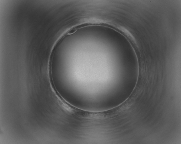 X0000073481183200607311152