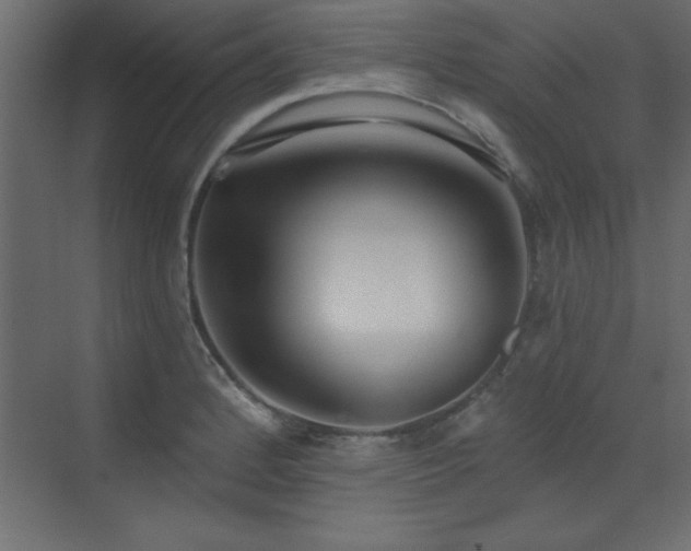 X0000073481184200607311152