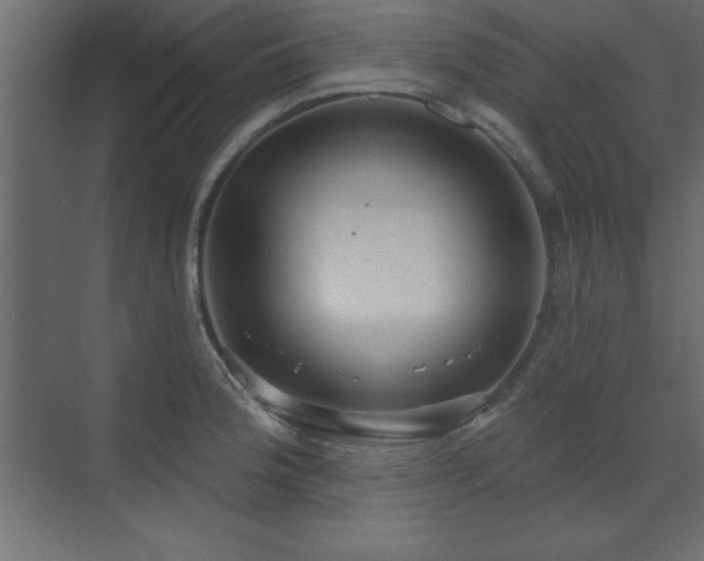 X0000073481188200607311152