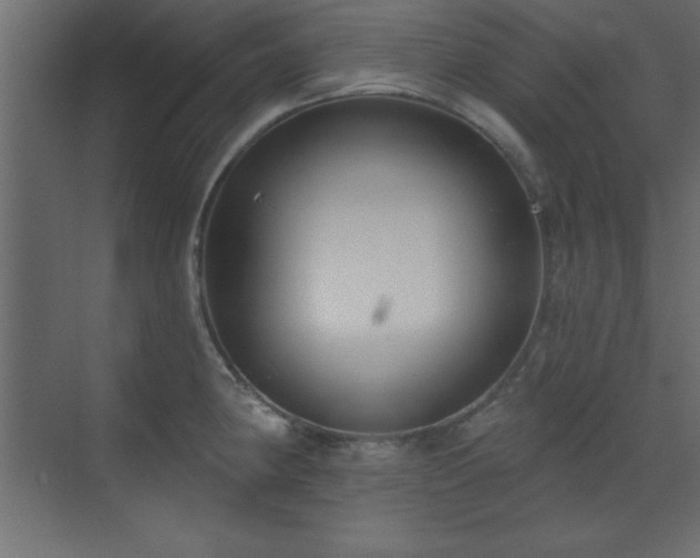 X0000073481190200607311152