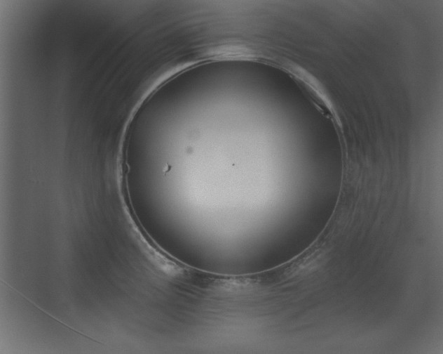 X0000073481195200607311152