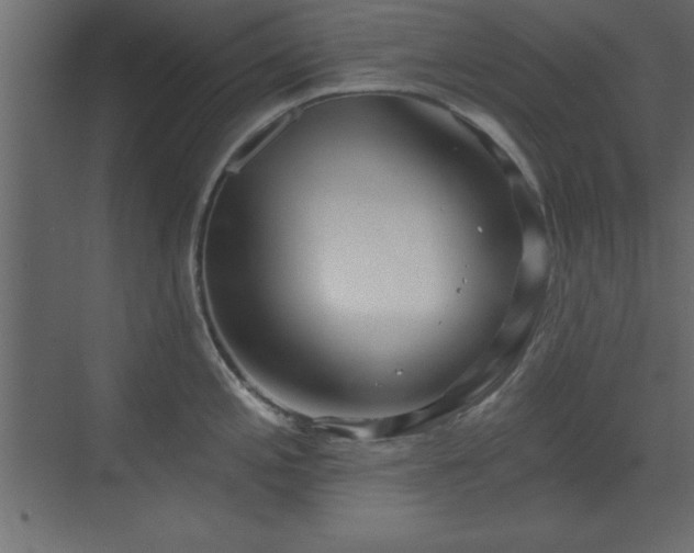 X0000073481197200607311152