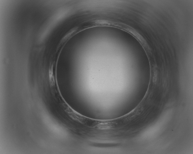 X0000073481198200607311152