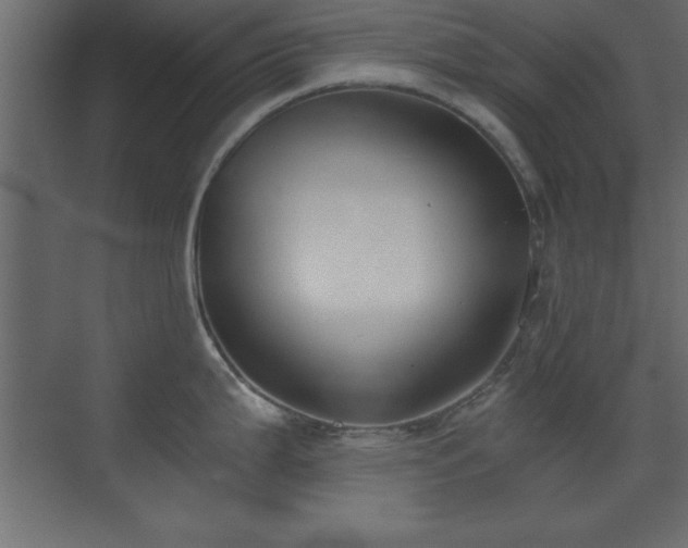 X0000073481199200607311152