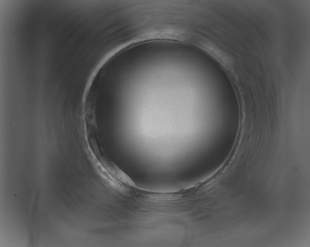 X0000073481200200607311152