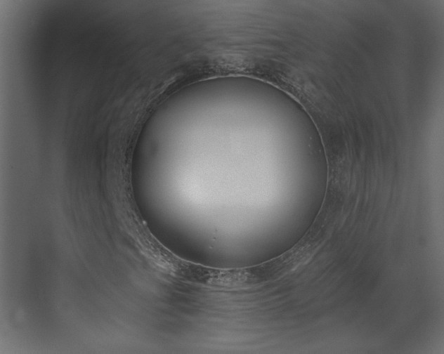 X0000073481201200607311151