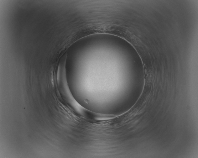 X0000073481202200607311151