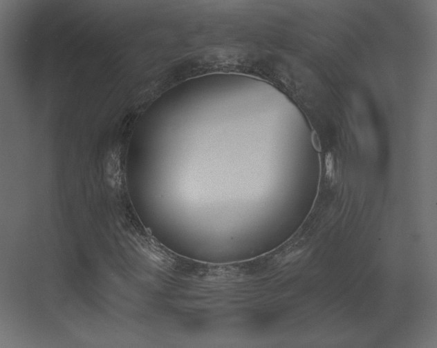 X0000073481203200607311151