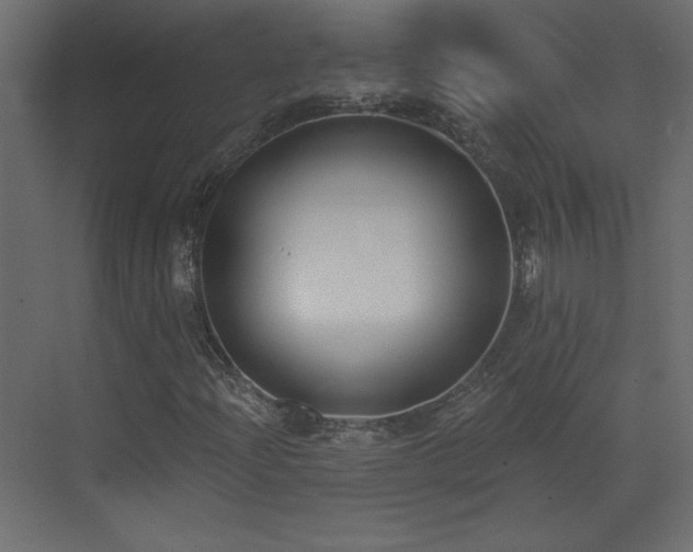 X0000073481204200607311151