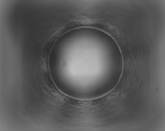 X0000073481205200607311151