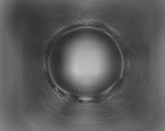 X0000073481206200607311151