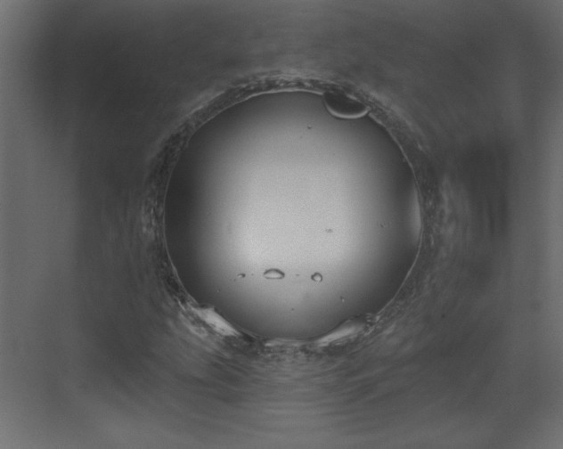 X0000073481207200607311151