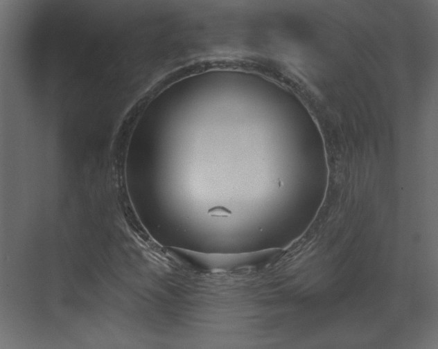 X0000073481208200607311152