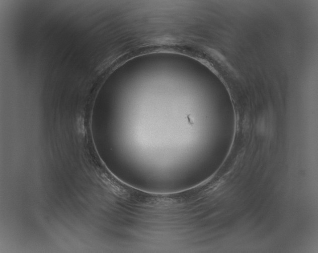 X0000073481209200607311152