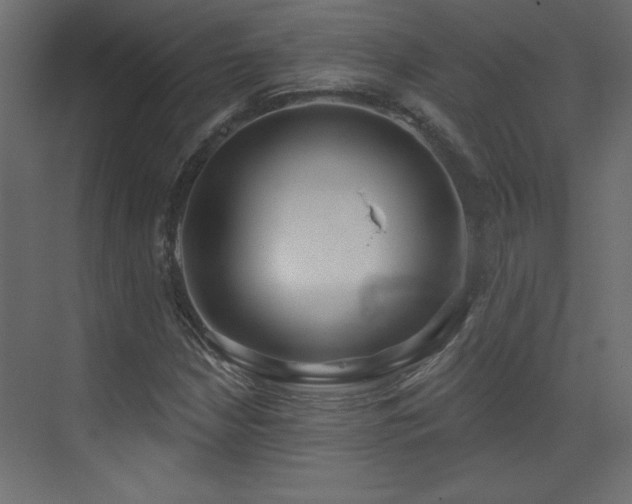 X0000073481210200607311152