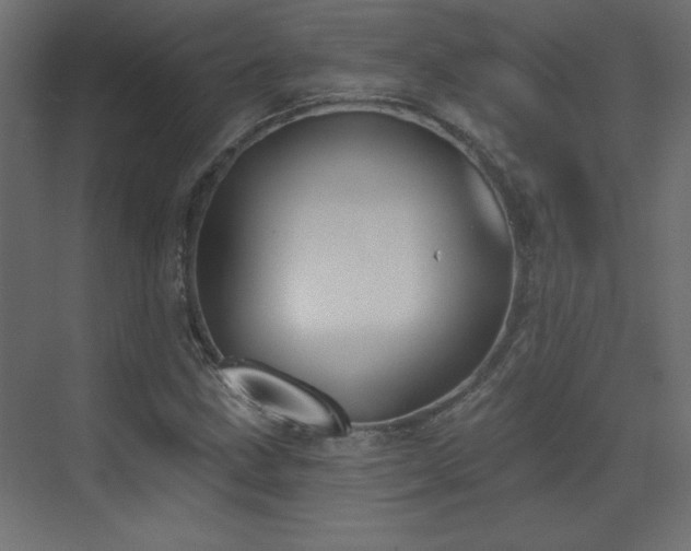 X0000073481211200607311152