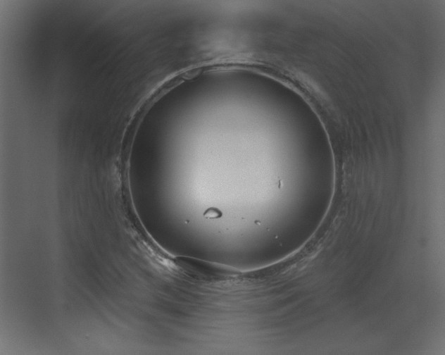 X0000073481212200607311152