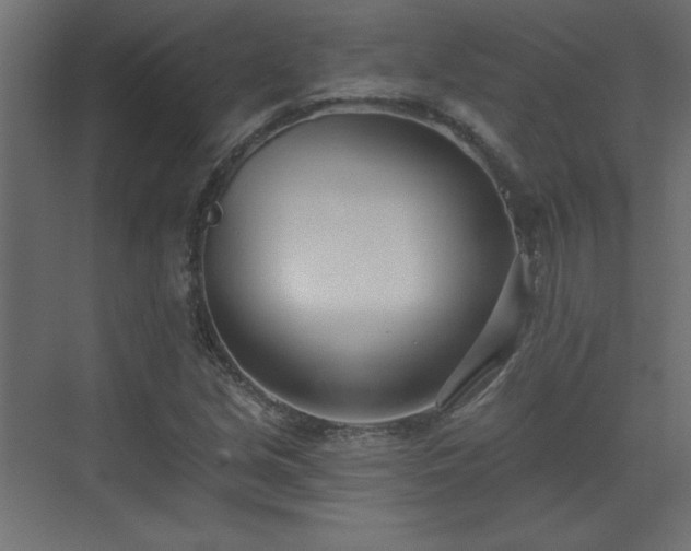 X0000073481213200607311152