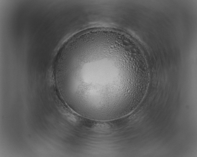 X0000073481215200607311152