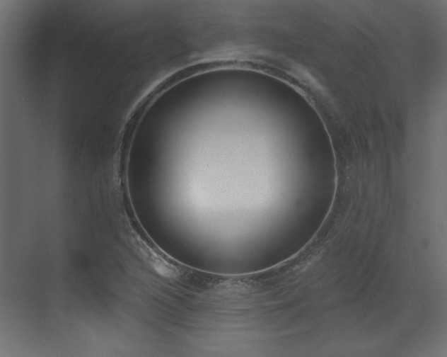 X0000073481216200607311152