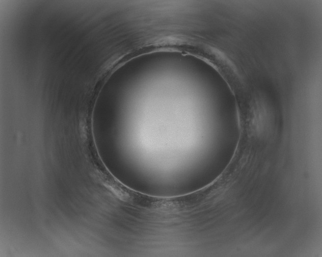 X0000073481217200607311152